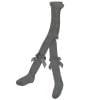 baby girl grey tights